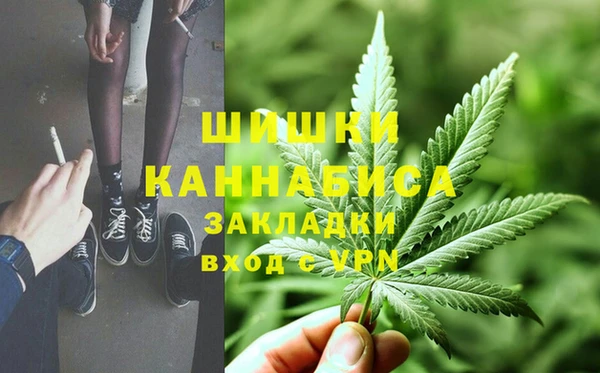 спиды Михайлов