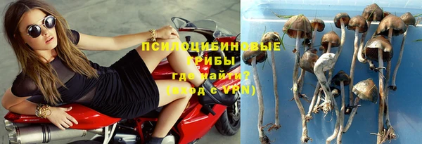 спиды Михайлов