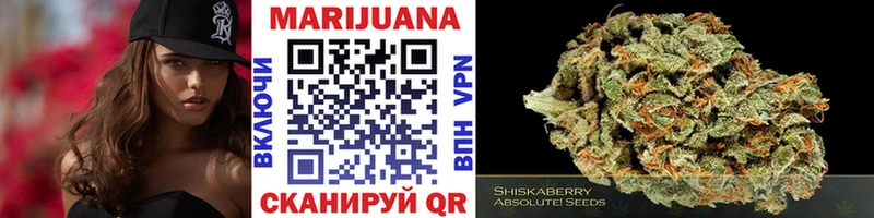 Конопля индика  Купить где  Алзамай 